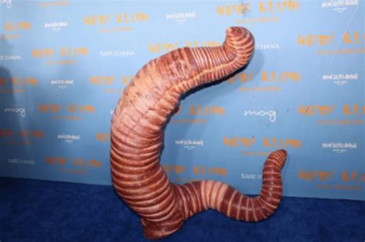 At Her 2022 Halloween Party, Heidi Klum Struggled To Wiggle Out Of Her Enormous Costume