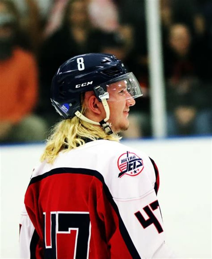 Braydin Lewis Obituary and Funeral, Braydin Lewis Dies After Her Brain Cancer Mobilized Local Hockey