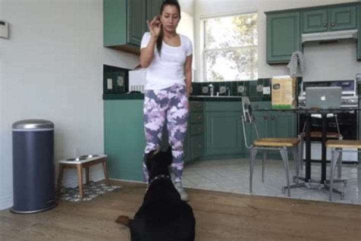 Brooke Houts Won’t Face Charges Over Dog Video