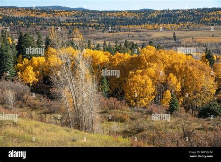 Carole Owens – Tierra Amarilla, NM