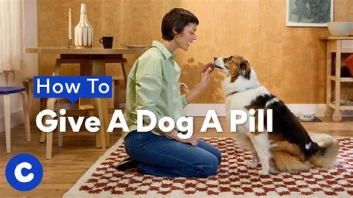 Did Underdog take a pill? – Celebrity