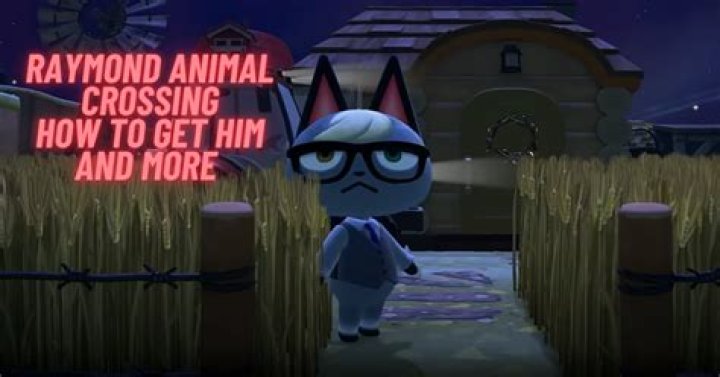How Do People Sell Raymond In Animal Crossing? – Celebrity