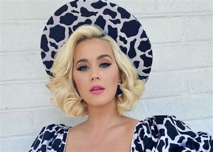 Katy Perry Has No Sign Of A Baby Bump In Christian Siriano Dress