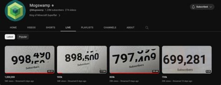 Mogswamp Youtuber overview