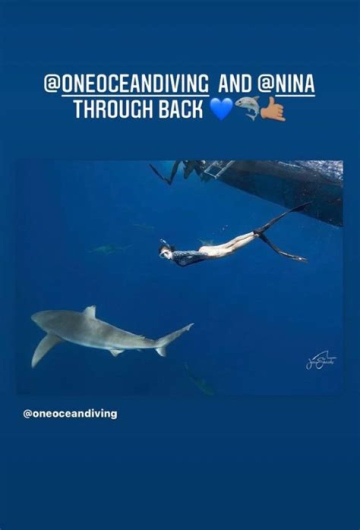 Nina Dobrev in Bathing Suit Swims with Sharks — Celebwell