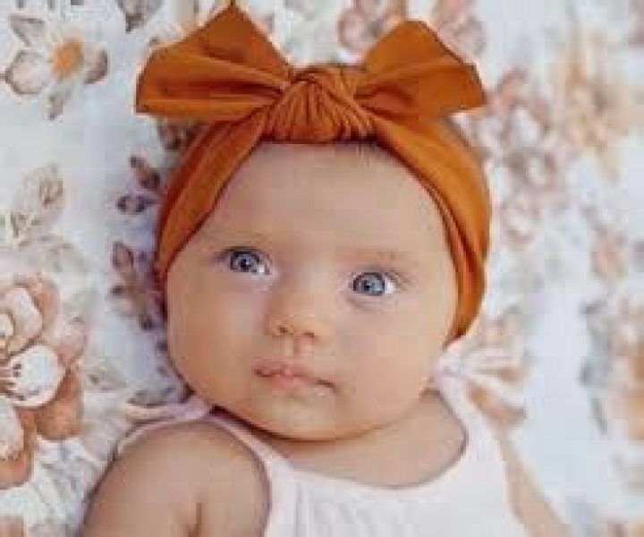 Posie Rayne LaBrant - Bio, Facts, Achievements, Family Life of YouTuber