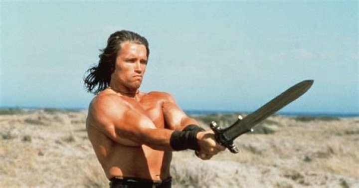 The best Arnold Schwarzenegger movies, ranked