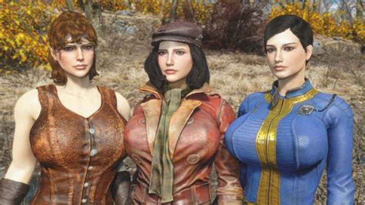 Why Does My Companion Disappeared Fallout 4? – Celebrity